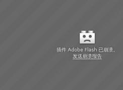 win10ϵͳƵ: Adobe Flash ѱ 