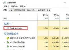 Win10ϵͳ Task Manager ʲôϢ